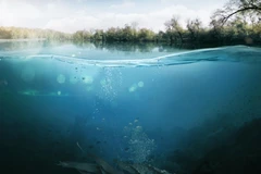 Singapore khai trương trung tâm nghiên cứu ứng phó với nước biển dâng