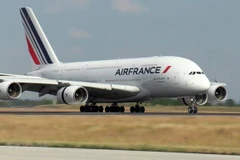 Máy bay của Air France tại sân bay Paris-Charles-de-Gaulle, Pháp. (Ảnh: AFP/TTXVN) 