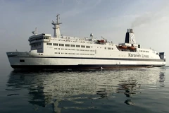 Ảnh minh họa. (Nguồn: AFP/TTXVN) 