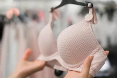 Luận án tiến sỹ về áo ngực gây tò mò, Trường đại học Bách khoa nói gì?