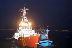 (Ảnh minh họa: Trần Lê Lâm/TTXVN)