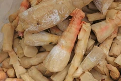 Măng tươi đang được ngâm ủ tại kho chứa. (Ảnh: Nguyễn Dũng/TTXVN)