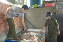 (Ảnh minh họa: Sỹ Tuyên/TTXVN)