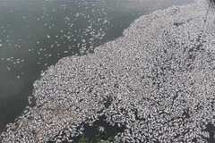 (Ảnh minh họa: Nguyên Lý/TTXVN)