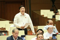 Đại biểu Quốc hội tỉnh Ninh Bình Mai Khanh phát biểu ý kiến. (Ảnh: Doãn Tấn/TTXVN)