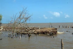 (Ảnh minh họa: Lê Sen/TTXVN)