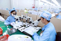 Sản xuất linh kiện điện tử tại Công ty Điện tử YPE Vina, khu công nghiệp Bình Xuyên 2 Vĩnh Phúc. (Ảnh: Hoàng Hùng/TTXVN)