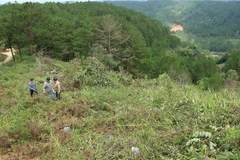 (Ảnh minh họa: Nguyễn Dũng/ TTXVN)