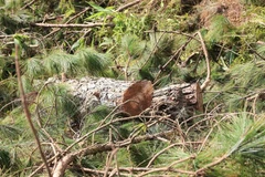 (Ảnh minh họa: Đặng Tuấn/TTXVN)