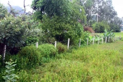 (Ảnh minh họa: Tá Chuyên/TTXVN)