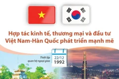 Hợp tác thương mại và đầu tư Việt Nam-Hàn Quốc phát triển mạnh mẽ