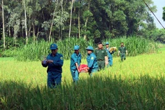 (Ảnh minh họa: Thu Hằng/TTXVN)