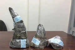 Ảnh chỉ có tính minh họa. (Nguồn: TTXVN)