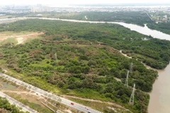 Khu đất hơn 32ha được Công ty Tân Thuận chuyển nhượng không đúng quy định cho Công ty Quốc Cường Gia Lai. (Ảnh: TTXVN phát)