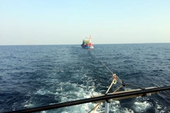 Ảnh chỉ có tính minh họa. (Ảnh: Tá Chuyên/TTXVN)