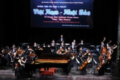 Ảnh chỉ có tính minh họa. (Ảnh: Minh Đức/TTXVN)