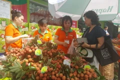 Vải thiều Thanh Hà được bày bán tại hệ thống siêu thị của Hapro. (Ảnh: Đỗ Phương Anh/TTXVN)