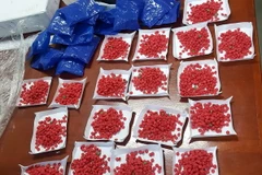 Ảnh chỉ có tính minh họa. (Ảnh: Việt Hùng/TTXVN)