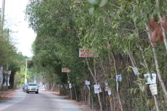 Nhan nhan biển rao bán đất nền tại các địa bàn vùng ven Thành phố Hồ Chí Minh. (Ảnh: Trần Xuân Tình/TTXVN)