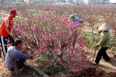 Hình chỉ mang tính minh họa. (Nguồn: TTXVN)