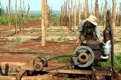 Ảnh minh họa. (Ảnh: Sỹ Huynh/TTXVN)