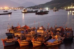 Các phương tiện tàu hàng, tàu cá neo đậu tránh trú bão số 8 tại khu vực vịnh Mân Quang, Đà Nẵng. Ảnh minh họa. (Ảnh: Trần Lê Lâm/TTXVN)