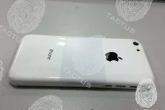 Hình ảnh vỏ nhựa dùng cho iPhone giá rẻ. (Nguồn: Tactus)