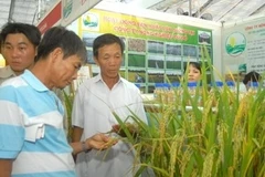 (Ảnh minh họa; Thanh Vũ/TTXVN)