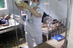 Ảnh minh họa. (Ảnh: Lục Văn Toán/Vietnam+)