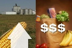 Ảnh minh họa. (Nguồn: stocksonwallstreet.net)