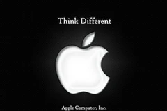 Ảnh minh họa (Nguồn: Internet)