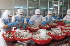 Chế biến hải sản xuất khẩu. (Ảnh: Phương Vy/TTXVN).