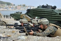 Ảnh minh họa. (Nguồn: AFP/TTXVN)