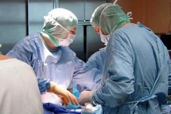 Ảnh minh họa. (Nguồn: LifeinItaly.com)