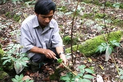 Ảnh minh họa. (Nguồn: TTXVN)