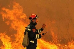 Lính cứu hỏa vật lộn với cháy rừng ở Vrpolje, gần thị trấn du lịch Sibenik, cách thủ đô Zagreb, Croatia 300km về phía nam. (Ảnh: AFP/TTXVN)