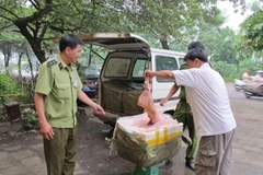 Ảnh minh họa. (Ảnh: Đức Duy/Vietnam+)