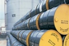 Ảnh minh họa (Nguồn: Internet)