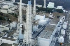 Nhà máy điện hạt nhân Fukushima 1 (Nguồn: Reuters) 