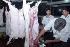 Nhân viên thú ý kiểm tra sản phẩm thịt gia súc tại một cơ sở giết mổ tập trung, trước khi đưa ra lưu thông. (Ảnh: Đình Huệ/TTXVN).