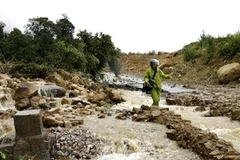 Ảnh minh họa. (Ảnh: Quang Duy/TTXVN)