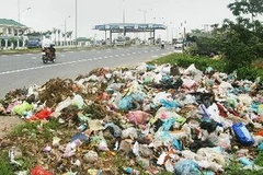 Ảnh minh họa. (Nguồn: TTXVN).