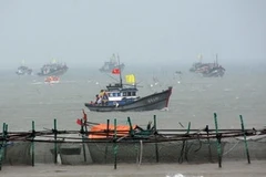 Đưa tàu thuyền về nơi trú ẩn tránh sóng thần trong một cuộc diễn tập ứng phó thiên tai. Ảnh minh họa. (Ảnh: Trung Quân-Lâm Phong/Vietnam+)