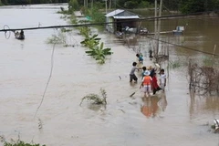 Ảnh minh họa. (Nguồn: TTXVN)