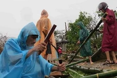 Người dân Quảng Sơn dựng lại nhà cửa, ổn định cuộc sống. (Ảnh: Đức Thọ/TTXVN)