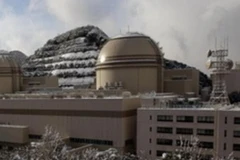 Các lò phản ứng của nhà máy điện hạt nhân Ohi, Nhật Bản. (Nguồn: NHK)