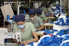 Ảnh minh họa. (Nguồn: TTXVN)