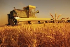 Ảnh minh họa. (Nguồn: libcom.org)