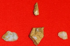 Mảnh răng hóa thạch của trẻ em (trên cùng) và các công cụ bằng đá thạch anh (dưới) được tìm thấy ở thành phố Nanjo, tỉnh Okinawa. (Nguồn: Kyodo). 