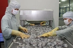 Ảnh minh họa. (Ảnh: Huy Hùng/TTXVN)